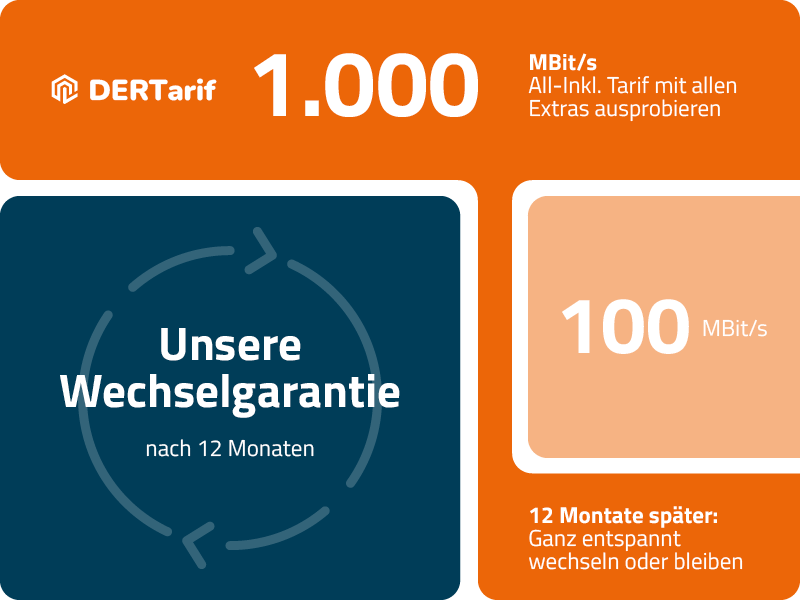 DNSNET-Wechselgarantie-800x600