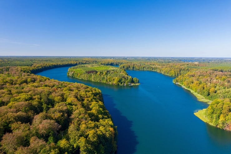 Liepnitzsee, Ortsseite, Wald