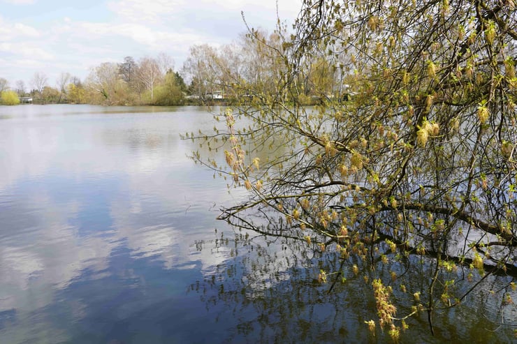 karpfenteich-französisch-buchholz