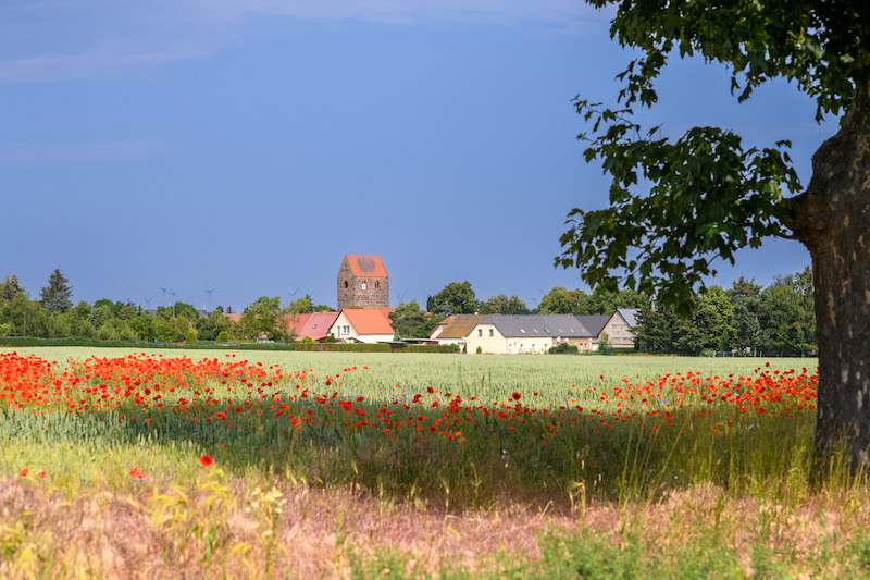 Glasfaser für Sachsen-Anhalt: in der zentralen Altmark gehen Tausende weitere Haushalte ans Netz