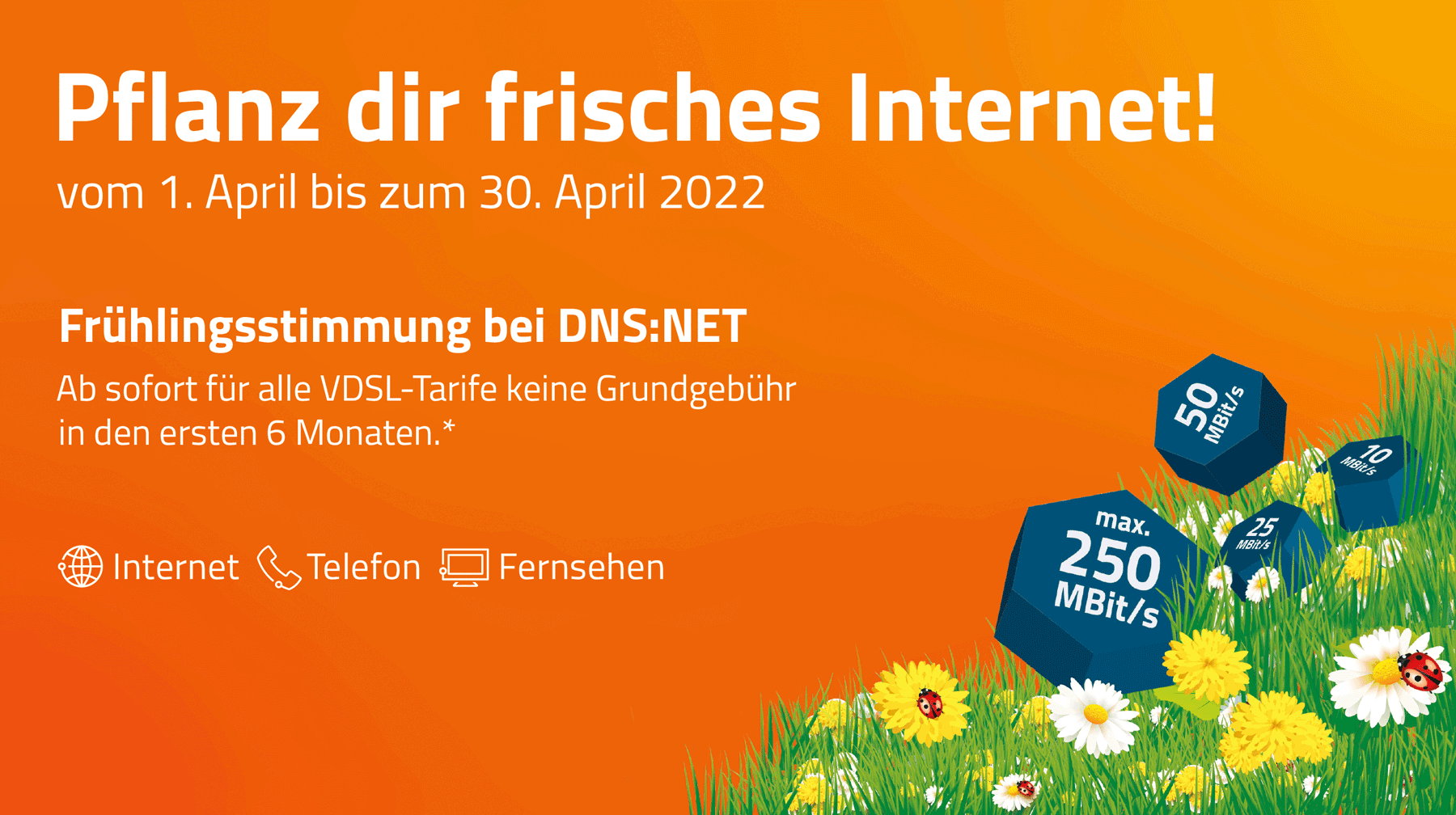 DNS:NET HighspeedPartner